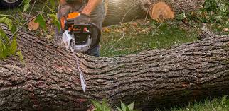 Lawn Watering Services in Farley, KY